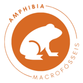AMPHIBIA (A)