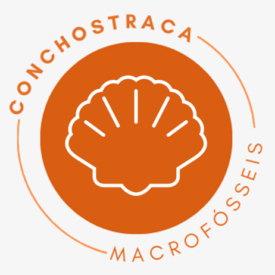 CONCHOSTRACA (Co)