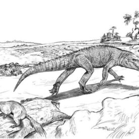 Reconstrução paleoambiental da Formação Adamantina na região de General Salgado. Fauna representada: Arm. arrudai (ao fundo), Baurus. salgadoensis (à direita) e par de Brasiles. stardusti (à frente). Ilustração por Jorge Blanco.