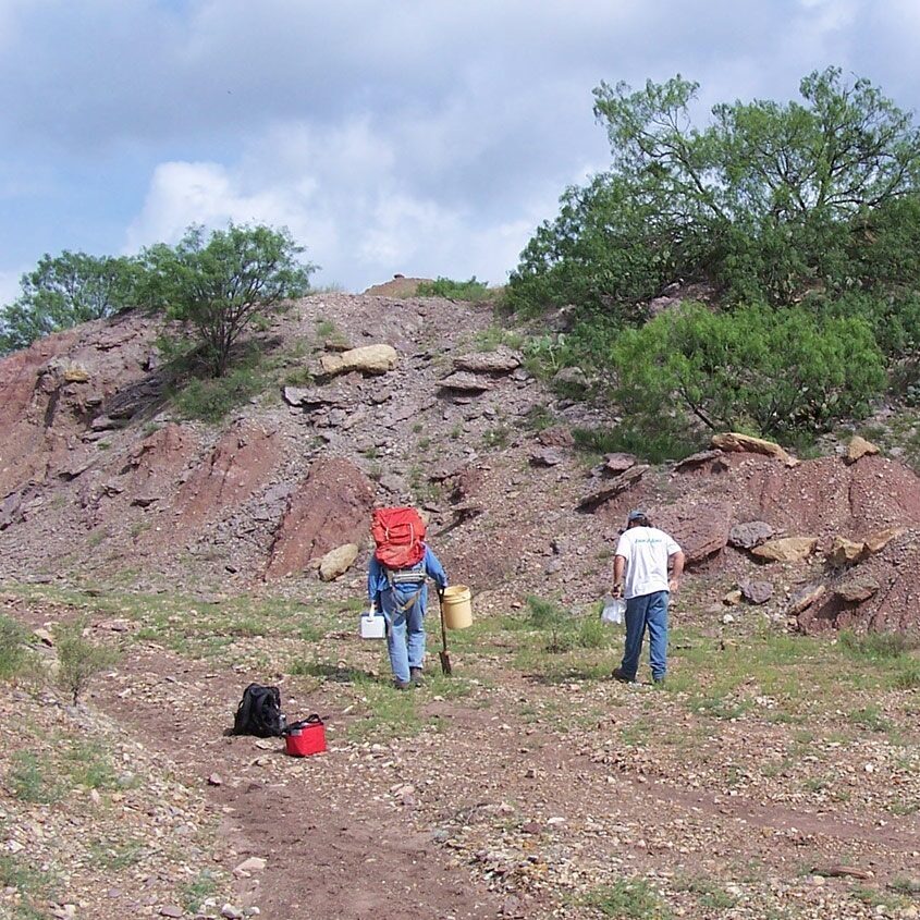Formação Harpersville