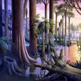 Fonte: https://mundopre-historico.blogspot.com/2016/07/periodo-carbonifero.html